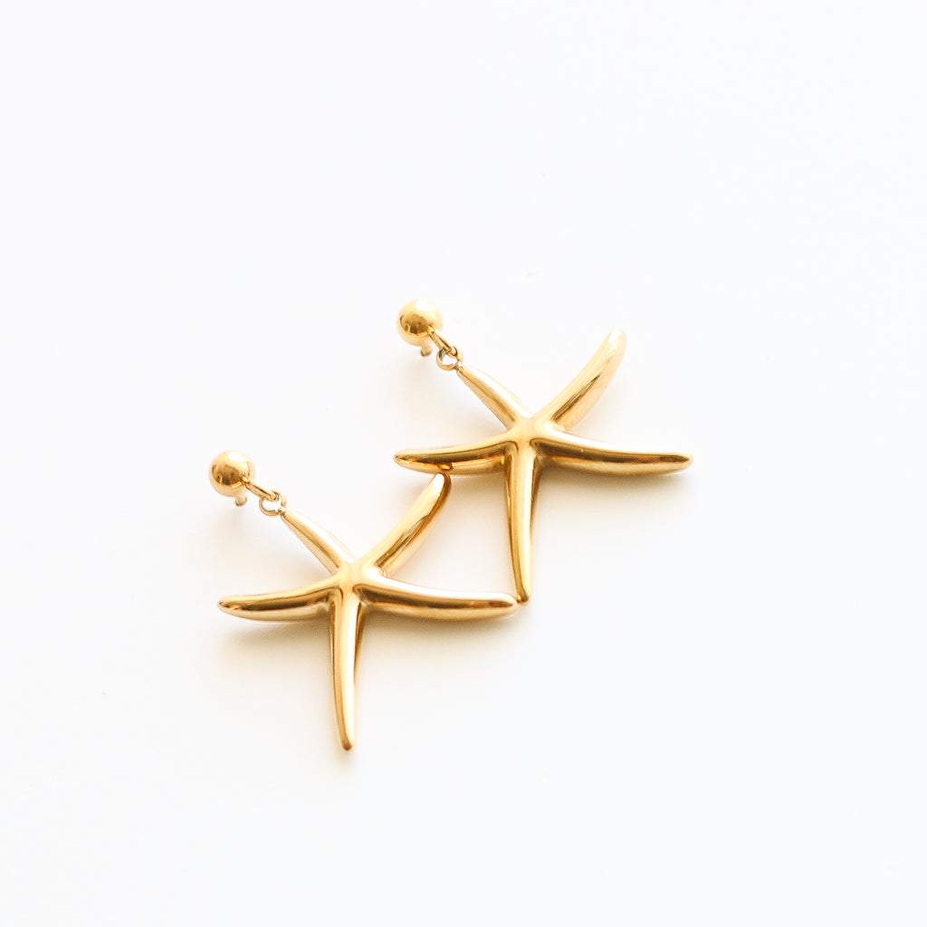 boucle oreille étoile mer acier cadeau