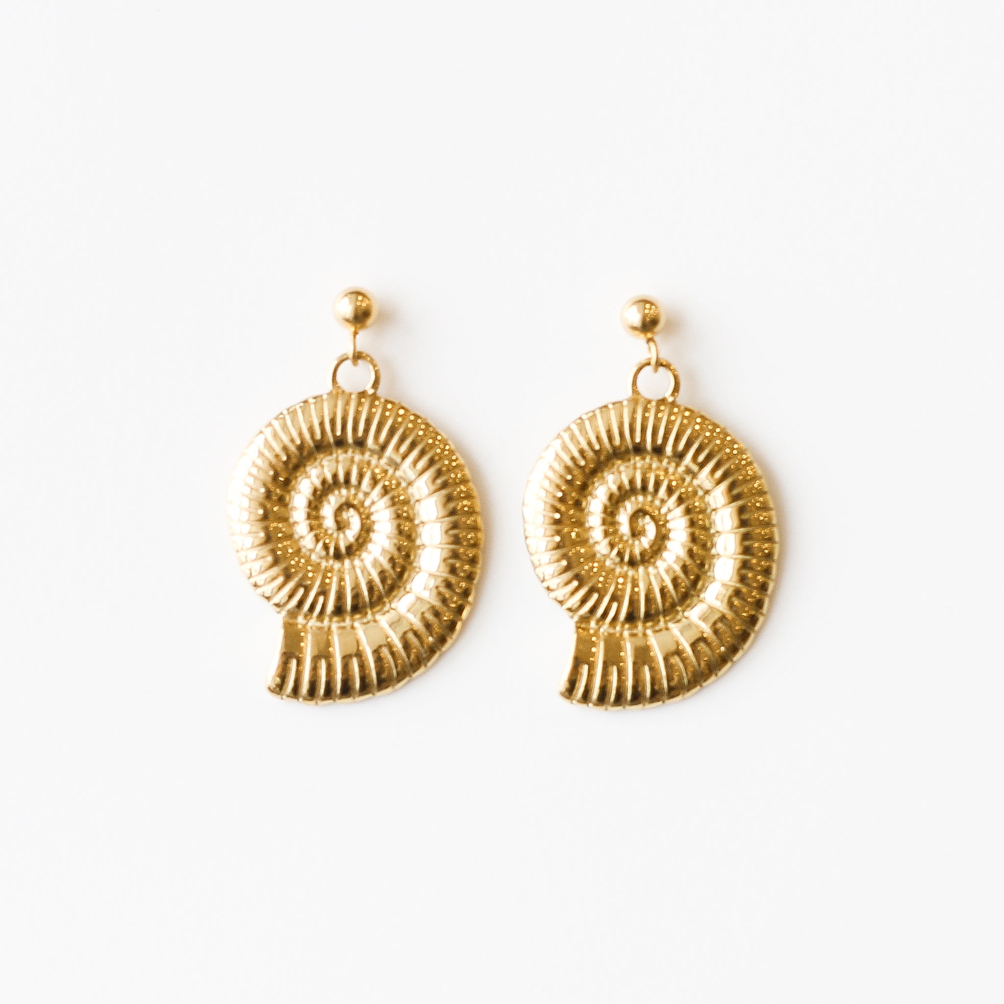 boucle oreille ammonite coquillage doré acier