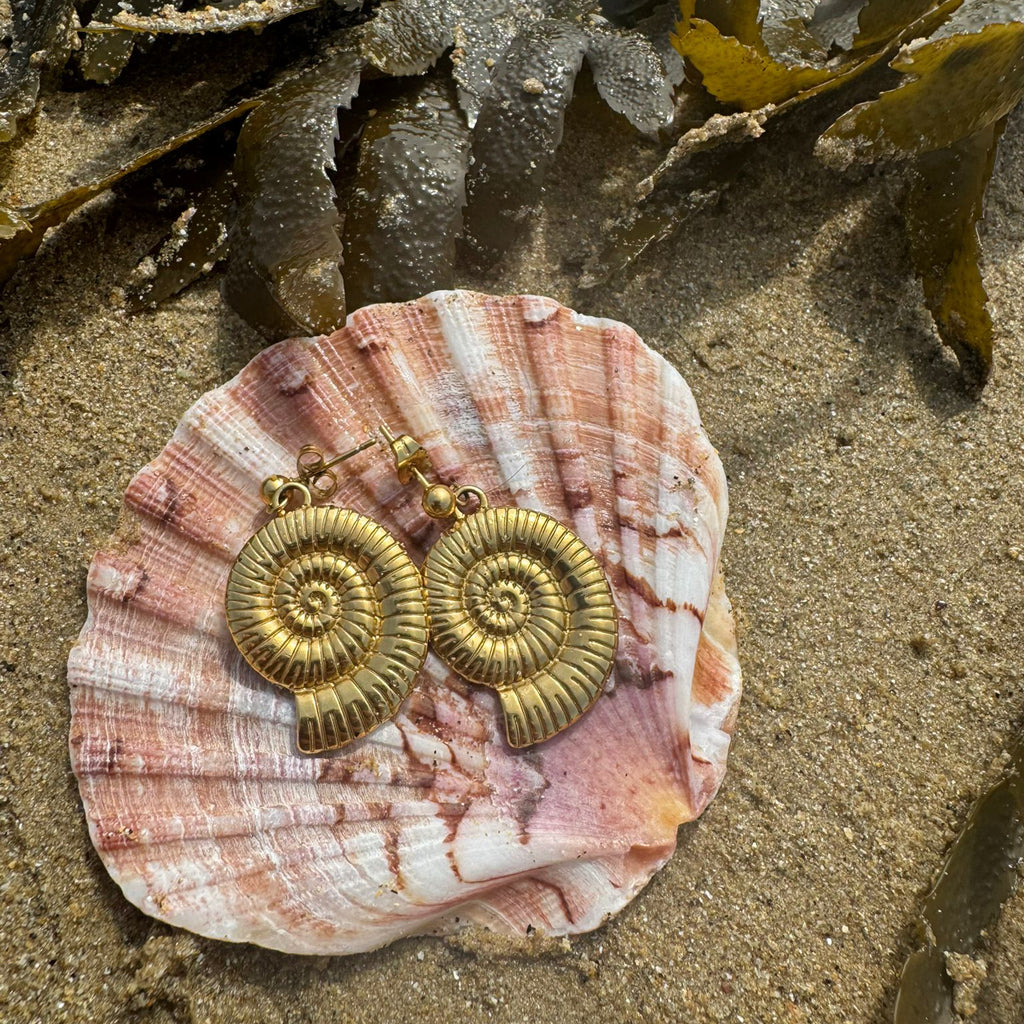 boucle oreille ammonite coquillage acier inoxydable