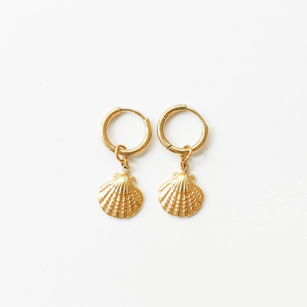 boucle oreille anneau coquillage acier créole