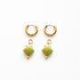 Boucles d'oreilles à pendentif coquillage vert doré, acier inoxydable doré.