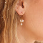 Boucles d'oreilles en perle d'eau douce, acier inoxydable doré.