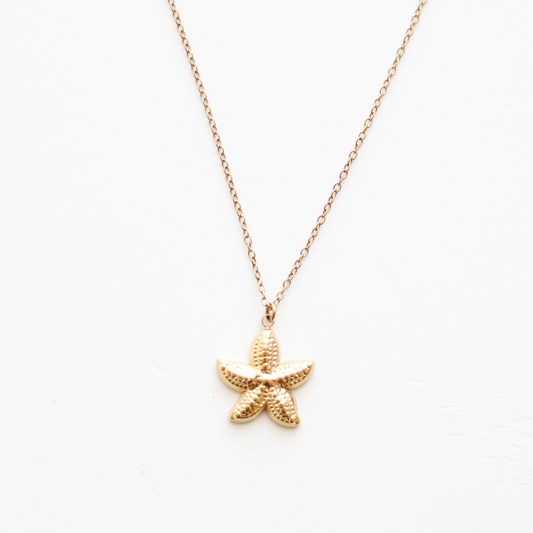 Collier à pendentif étoile de mer doré, acier inoxydable.