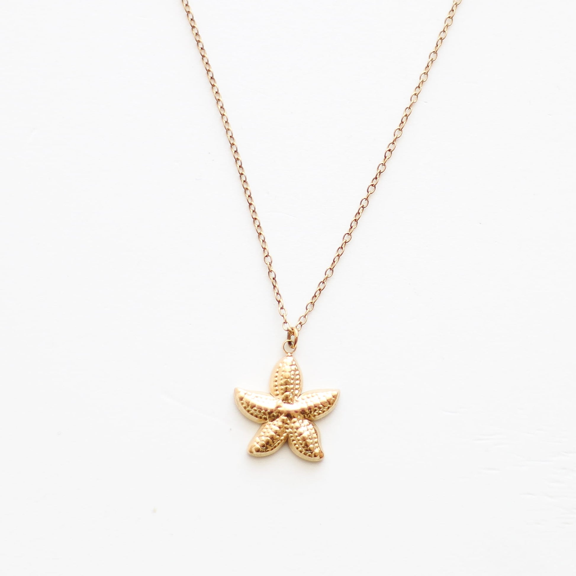 Collier à pendentif étoile de mer doré, acier inoxydable.